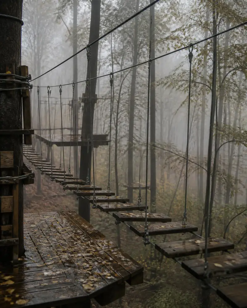 Empty aerial adventure course after rain, with wet plank bridges, dripping cables and fog through autumn trees