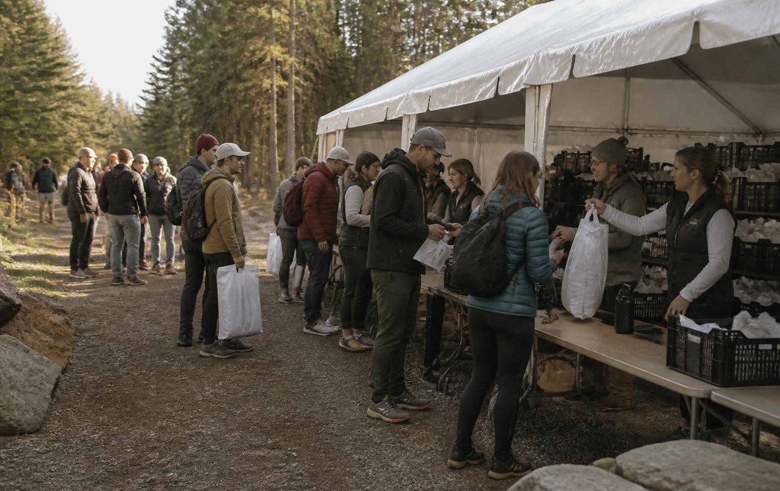 Participants queueing at long trestle tables under an open-sided tent in a forest clearing while volunteers hand over race numbers and bags